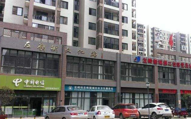 富联娱乐
华中地区案例：武汉市左岭新城